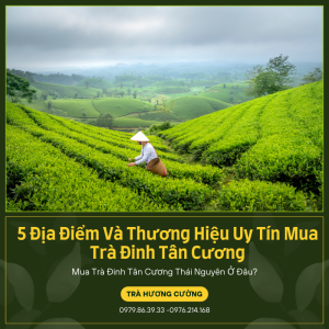 muatradinhtancuongthainguyen3