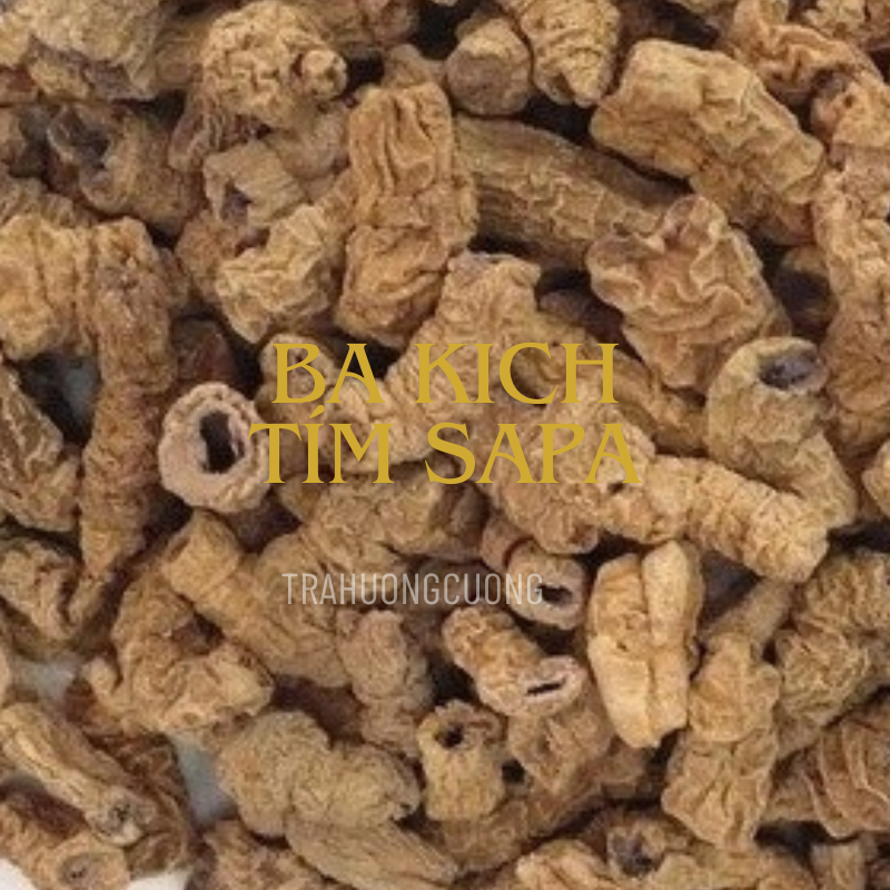 ba kich tim kho sapa 4