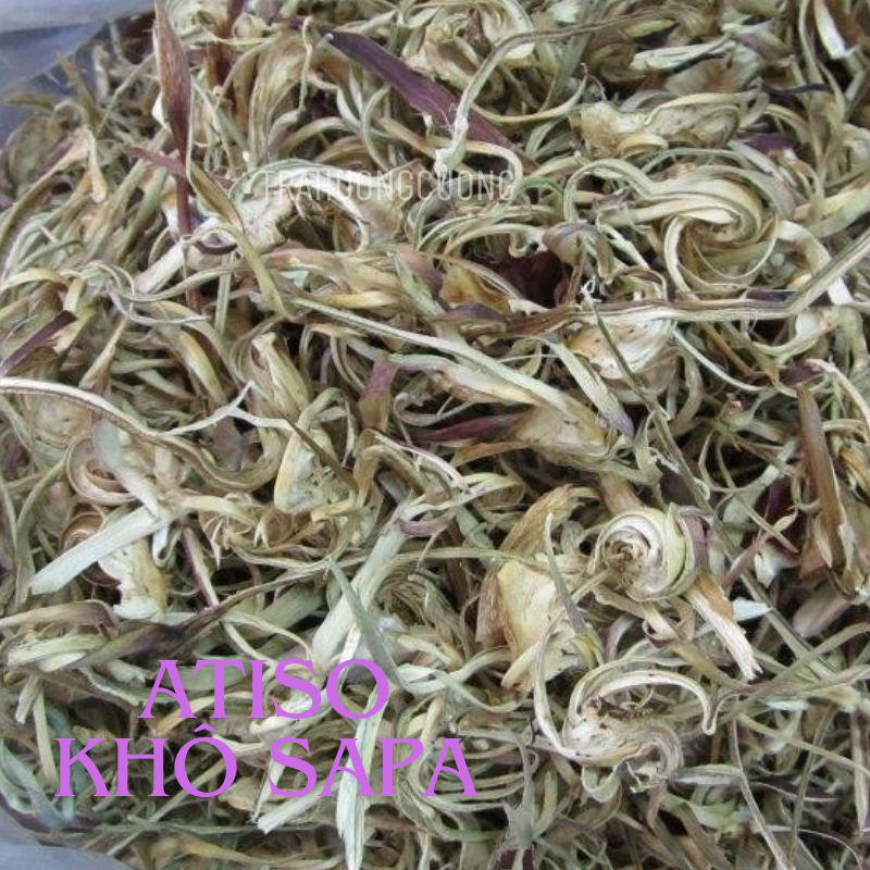 hoa atiso kho sapa 1
