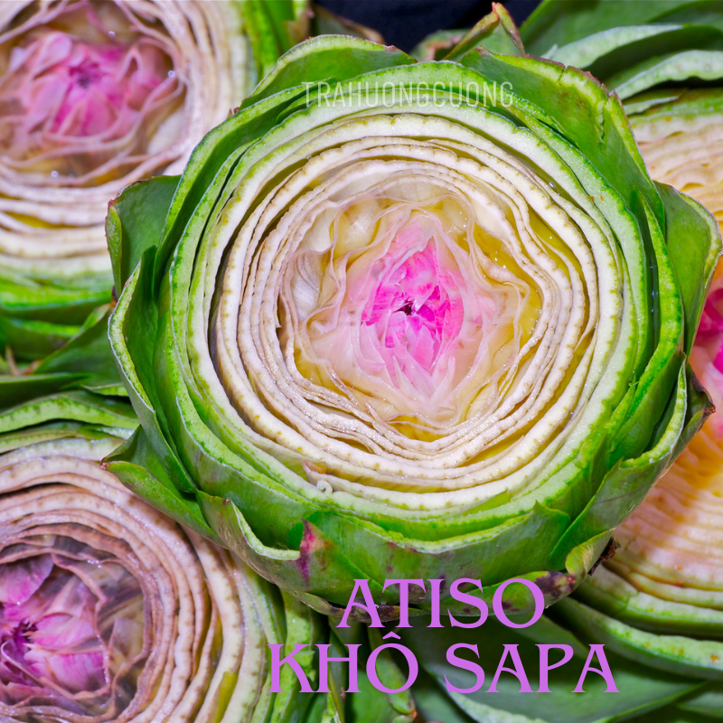 hoa atiso kho sapa 8