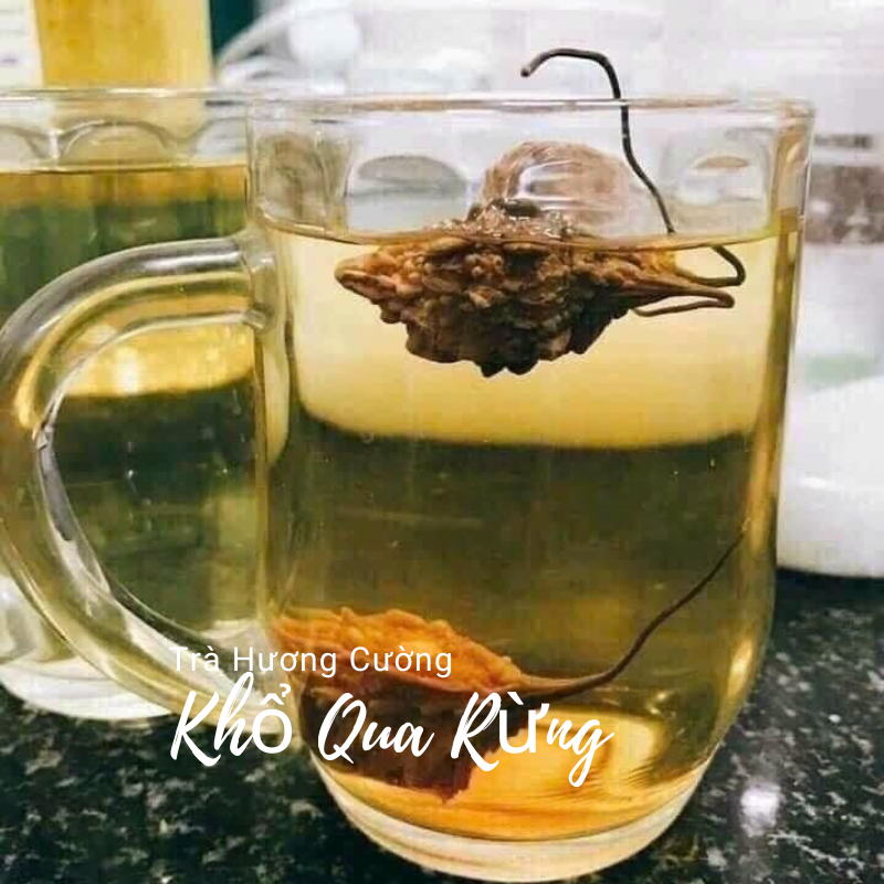 kho qua rung kho tay bac 2