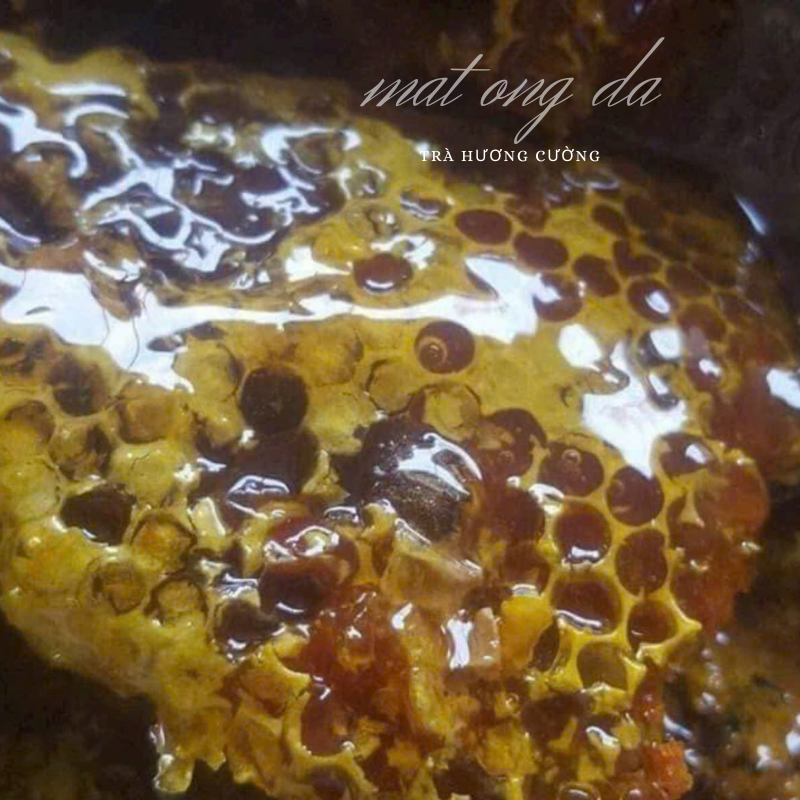 mat ong da rung 2