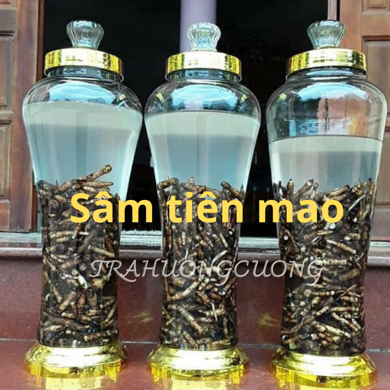 sam tien mao 2