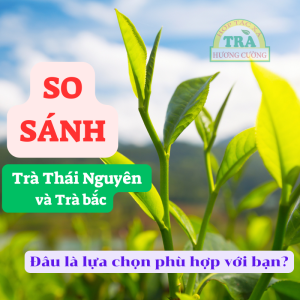 so sanh tra thai nguyen va tra bac 1